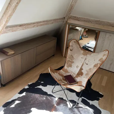 Διαμέρισμα Cosy 750m From Forum